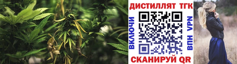 купить наркоту  Тосно  Дистиллят ТГК концентрат 