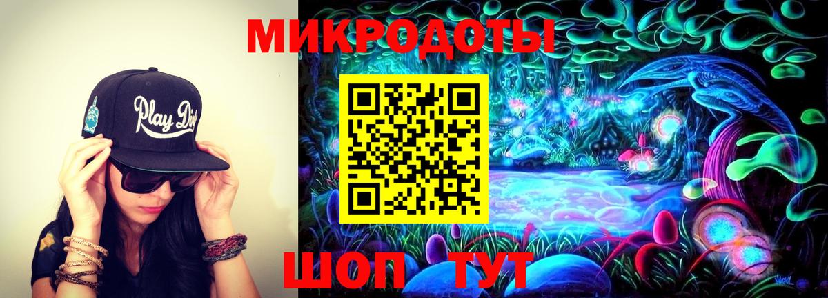 Галлюциногенные грибы Psilocybe Тосно