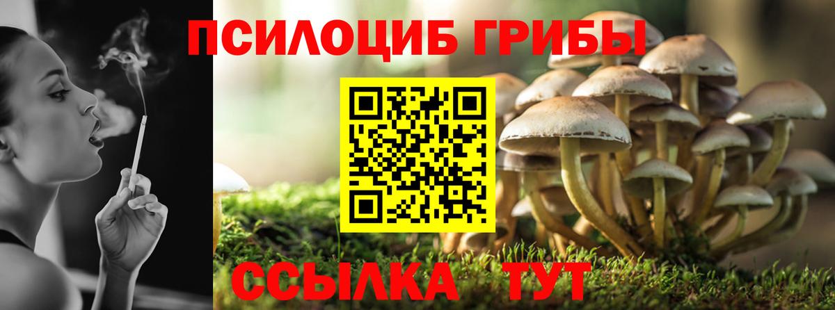 Псилоцибиновые грибы GOLDEN TEACHER Тосно