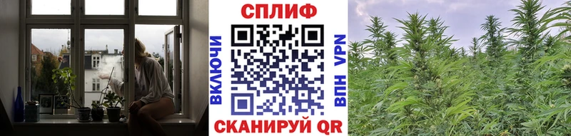 Бошки Шишки VHQ где найти наркотики Тосно